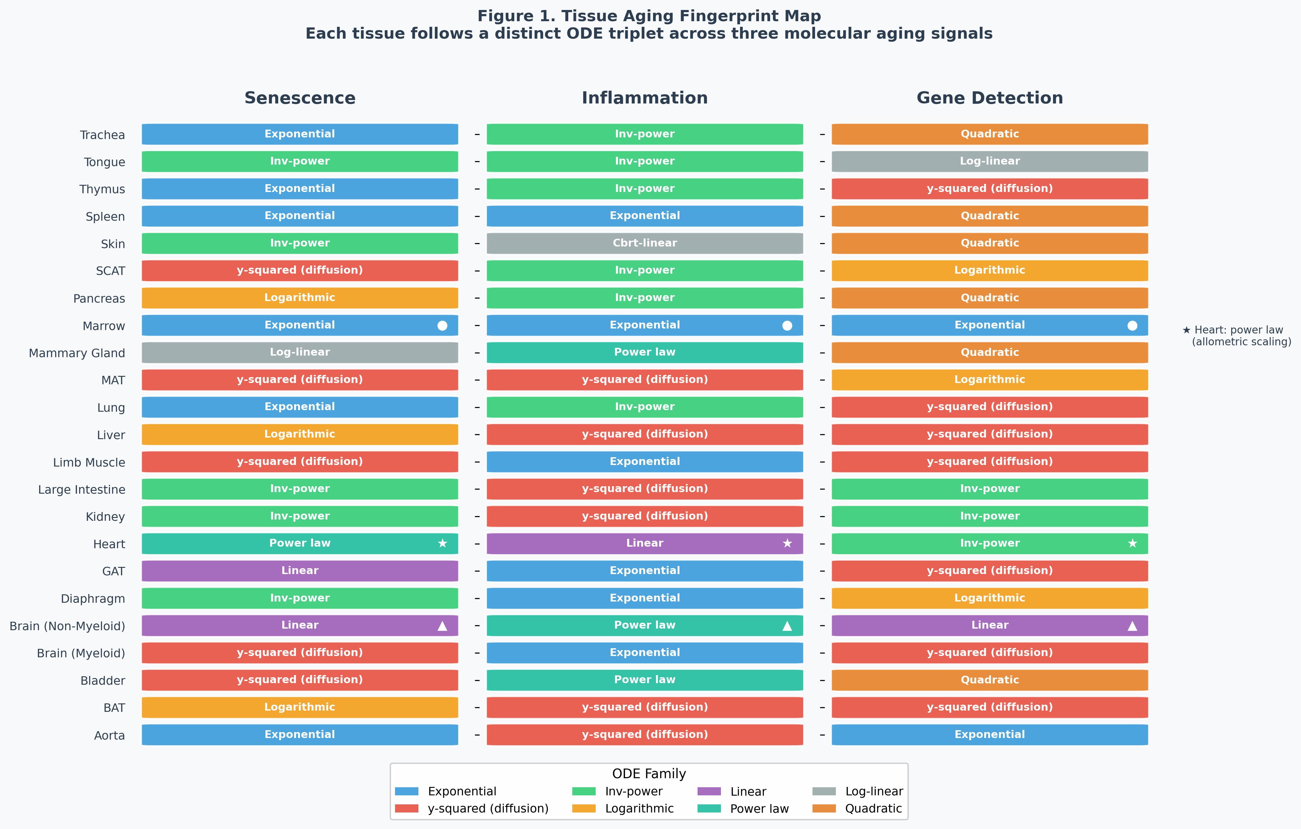 Tissue ODE map: 23 tissues colored by senescence ODE family