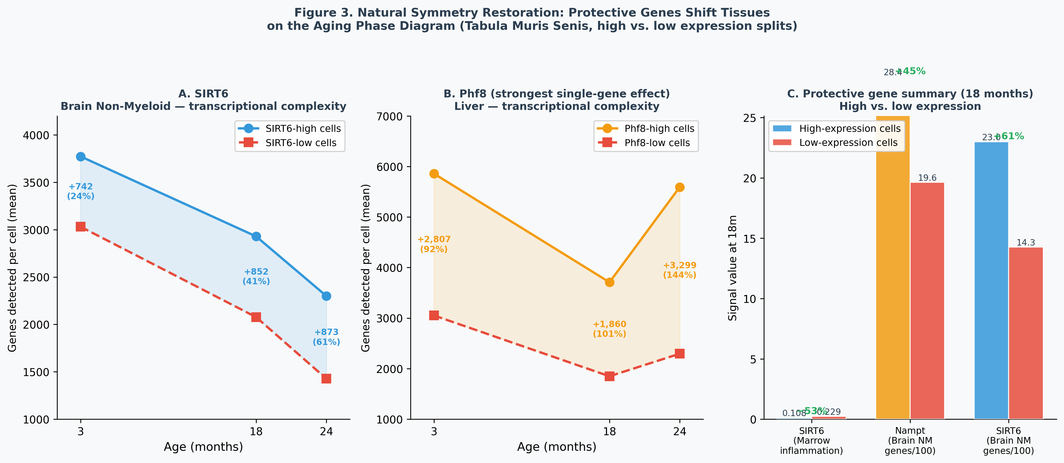 SIRT6-high vs SIRT6-low transcriptional complexity gap widens with age